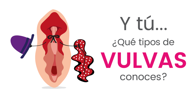 5 tipos de vulvas que existen y que debes conocer