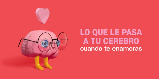 Lo que le pasa a tu cerebro cuando te enamoras