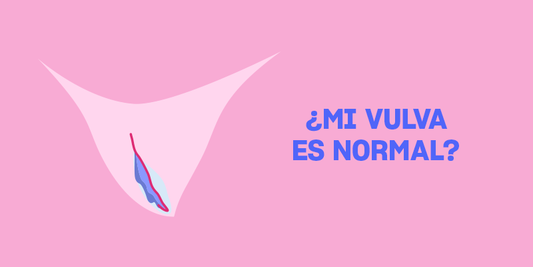 ¿Mi vulva es normal?